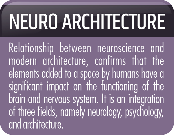 neuro architecture